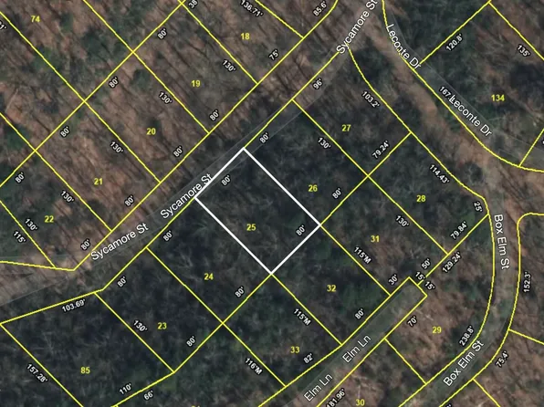 Sycamore St, Sevierville, TN 37876