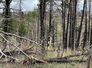 986 Levy Place, Fort Garland, CO 81133