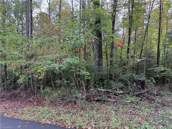 0 Kizer St, Mount Airy, NC 27030