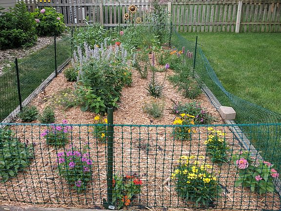 lovely butterfly garden