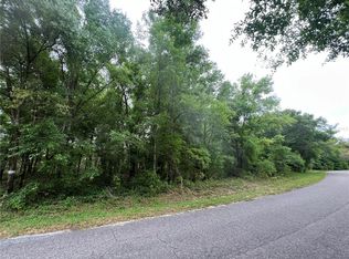 Guava Pass LOT 14, Ocklawaha, FL 32179
