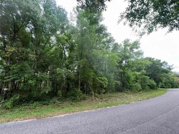 Guava Pass Lot 14, Ocklawaha, FL 32179