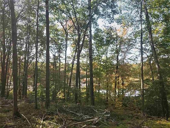 3rd image of W Shay Lake Ln