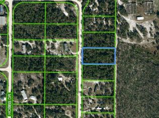 475 Donahue Dr, Venus, FL 33960