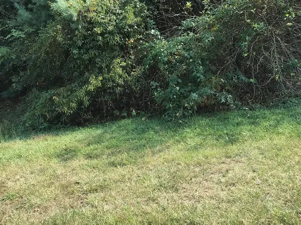 LOT 37 Brooke St, Chilhowie, VA 24319