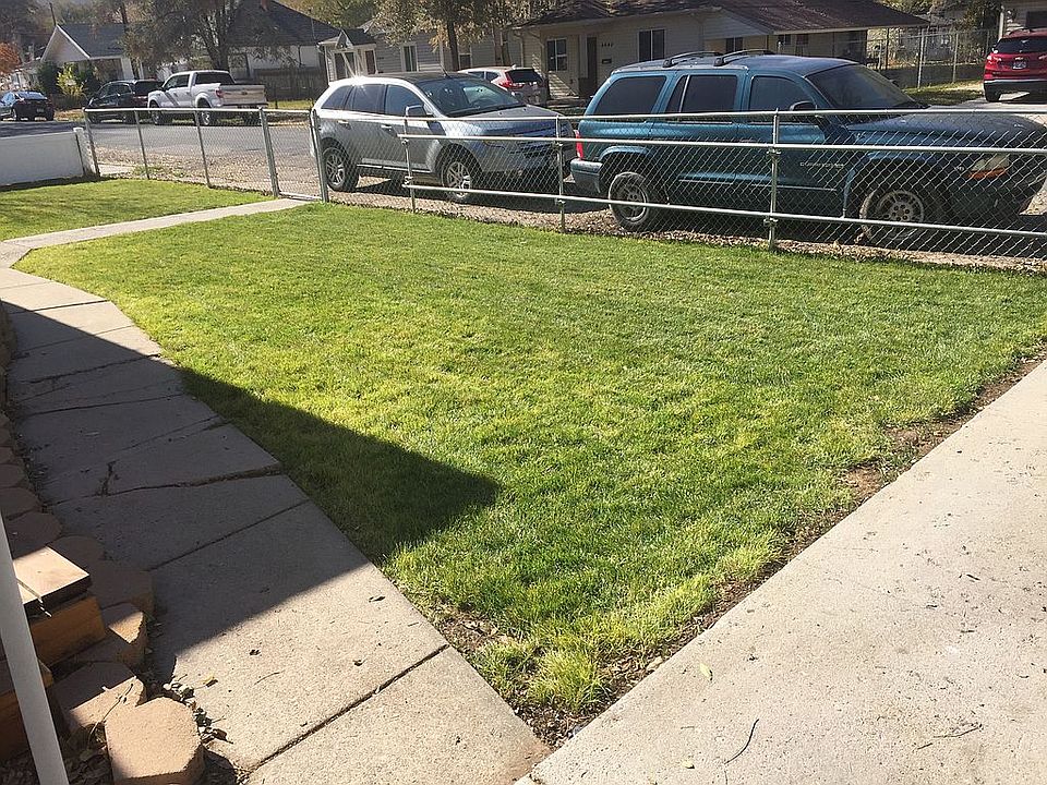 Front yard and fence 