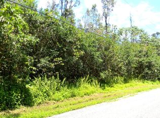 14th Ave LOT 477, Keaau, HI 96749