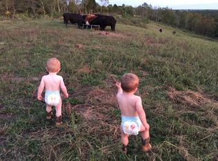 Falmouth Street- Hwy #22, Williamstown, KY 41097