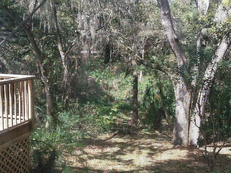 68 Bay Woods Dr — Photo 17