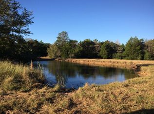 51 Acres County Road 162, Somerville, TX 77879