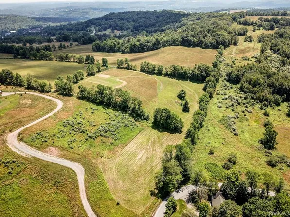 Beechwoods Road, Callicoon, NY 12723