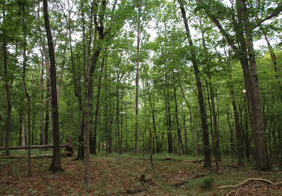 1st image of Habron Hollow Rd Lot Wp003