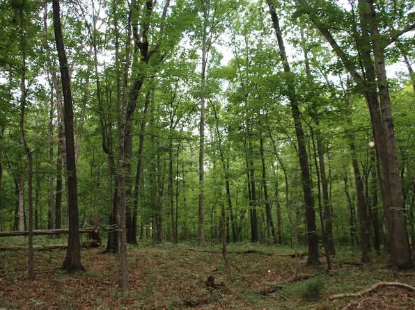 Habron Hollow Rd Lot Wp003, Fort Valley, VA 22652