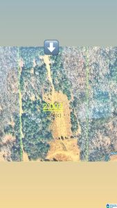 621-P D Rd #23-02-002.003, Lincoln, AL, 35096