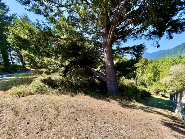 427 Humboldt Loop Rd, Whitethorn, CA 95589
