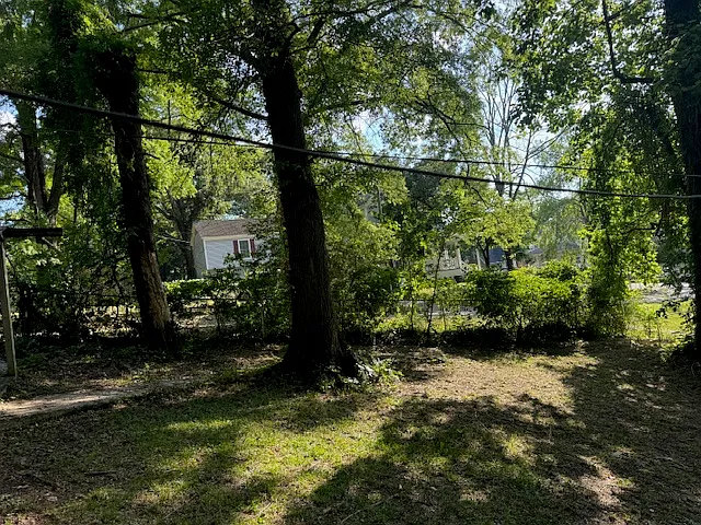 Quite spacious Backyard (Lot 8,500 Square Feet)