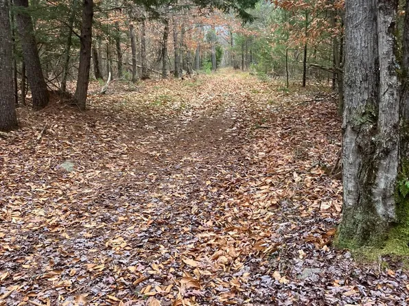 L15.111 Scofield Road, Lake Luzerne, NY 12846