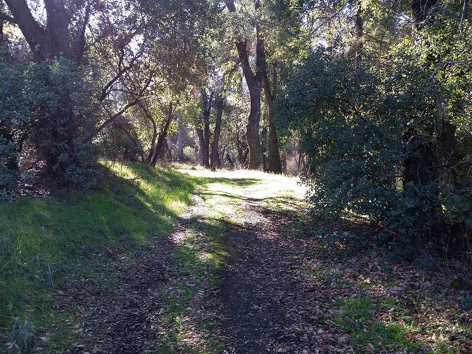 Drive way to build site 