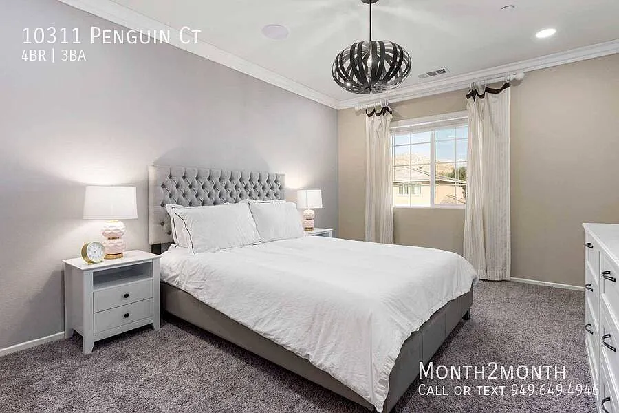 10311 Penguin Ct