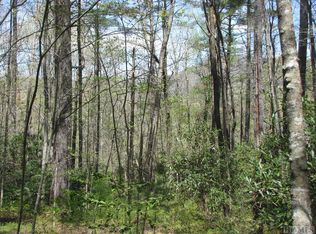 2384 Upper Whitewater Rd, Sapphire, NC 28774