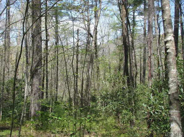 2384 Upper Whitewater Rd, Sapphire, NC 28774