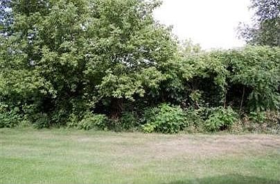 2nd image of 522 Laurie Dr NW