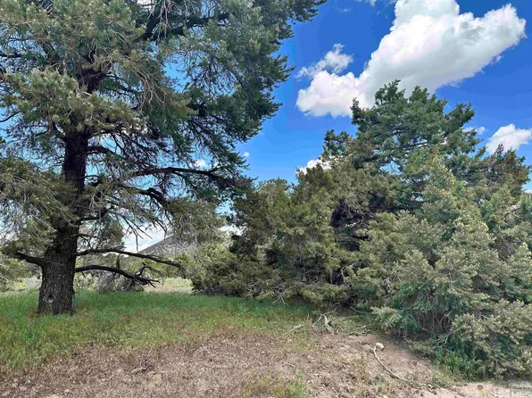 2348 Cartwright Rd, Reno, NV 89521