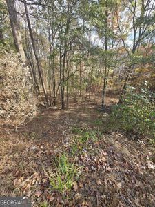 2412 Snowshoe Bnd, Bethlehem, GA, 30620
