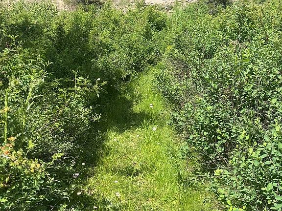 4th image of Castle Bar Cabin Sites White Sulphur Spgs