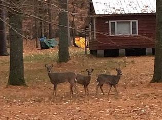 1507 S Shore Rd, Hadley, NY 12835