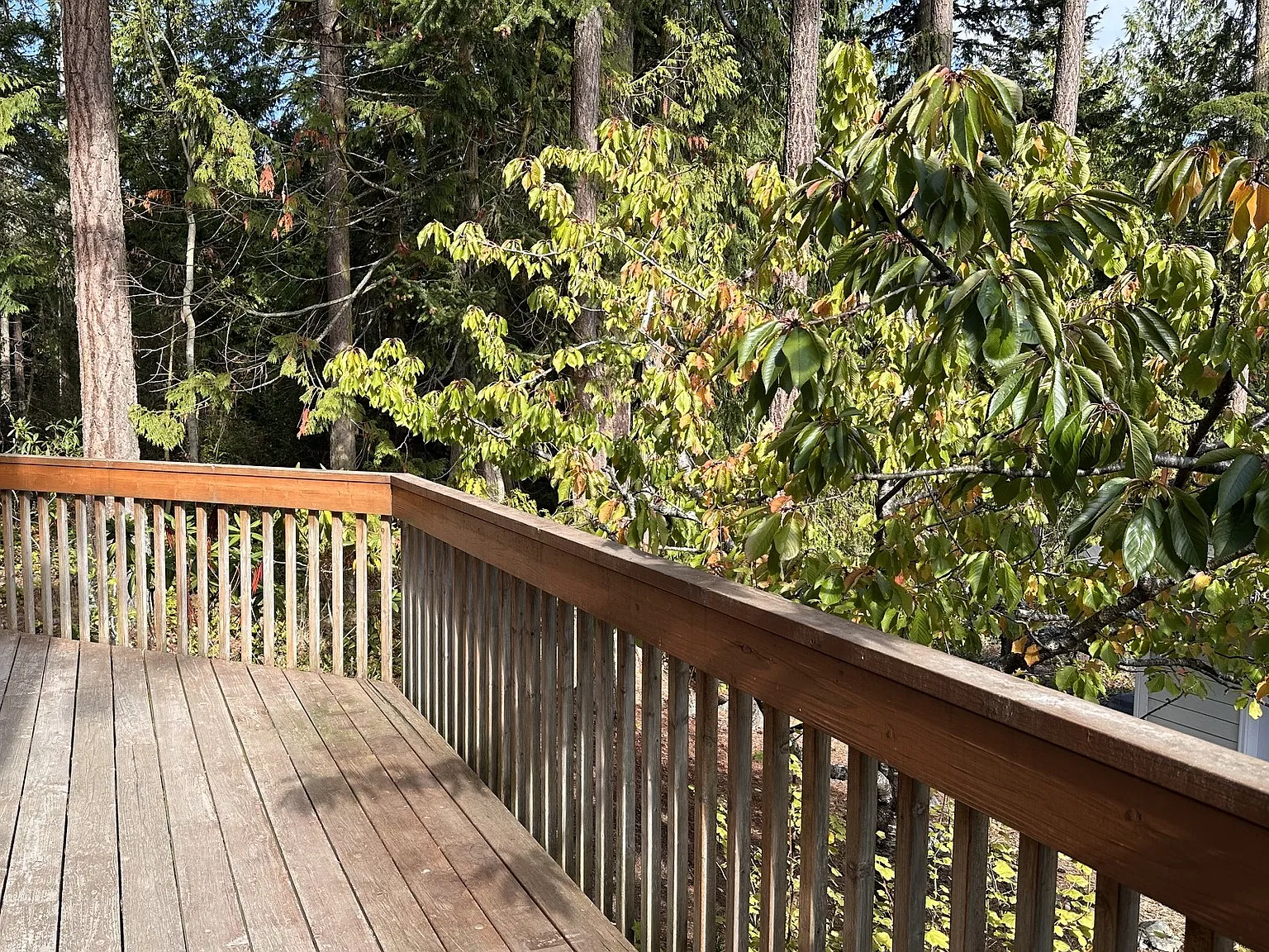4375 Gise St — Photo 3