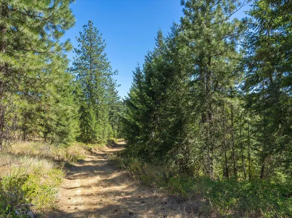 21620 E Lakeview Rd, Otis Orchards, WA 99027