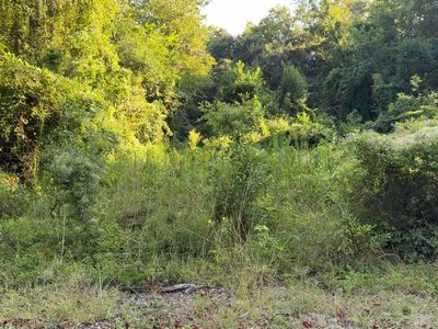 909 Black St, Walterboro, SC, 29488