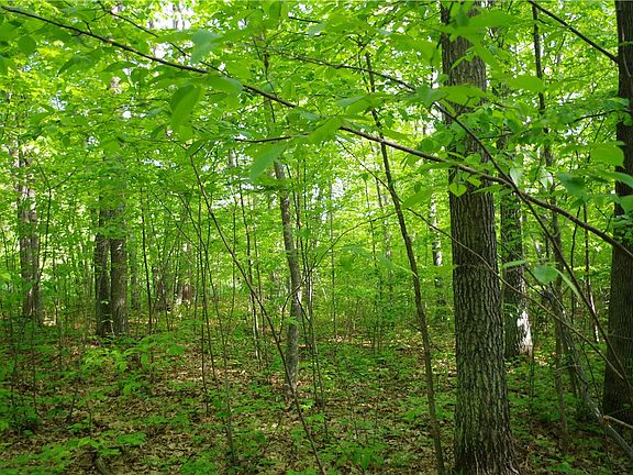 2nd image of 0 County Rd E