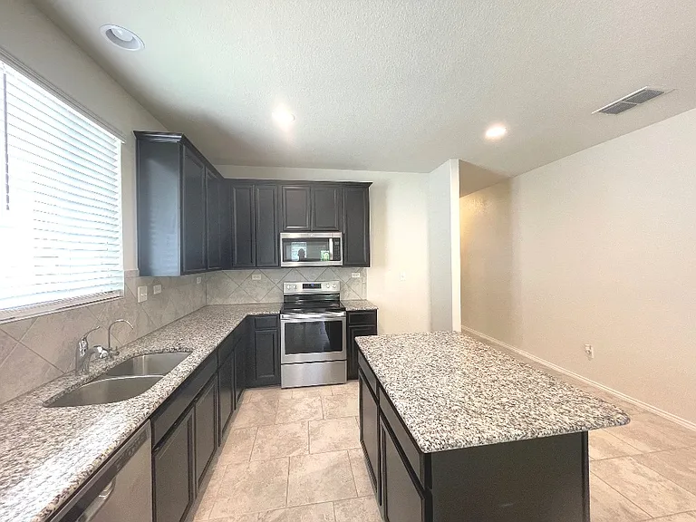 208 Texas Thistle — Photo 13