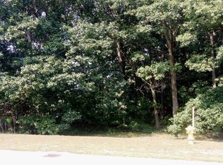 Sequoia St, Holland, MI 49424