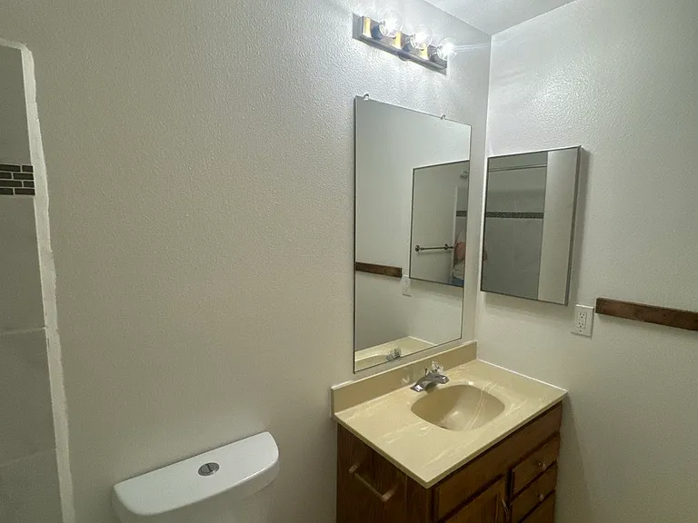 hall bath vanity_05062026