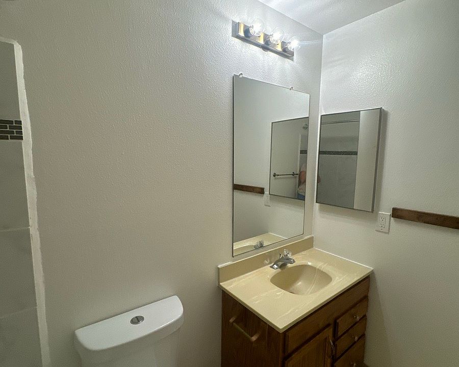 hall bath vanity_05062026