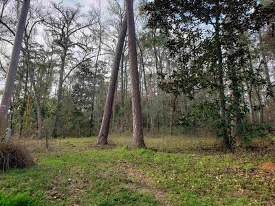 0 Shiloh Way, Tallahassee, FL, 32308