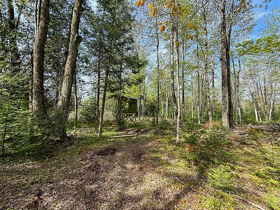 5th image of V/l 3 Mile Rd