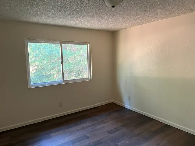 1534 Daphne Dr — Photo 3
