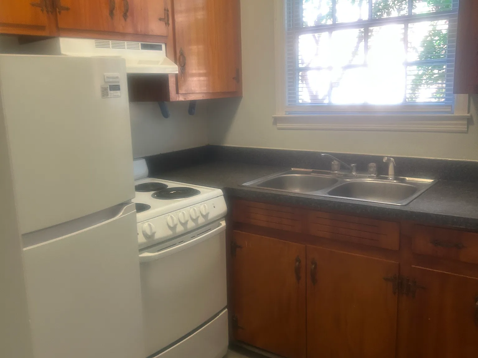 1 bed, 800 sqft, $1,000 — Photo 4