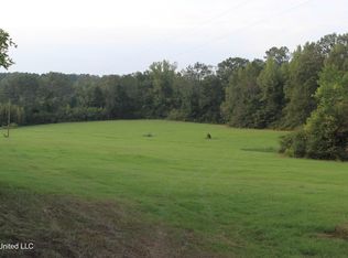 535 County Road 132 #A, Raleigh, MS 39153