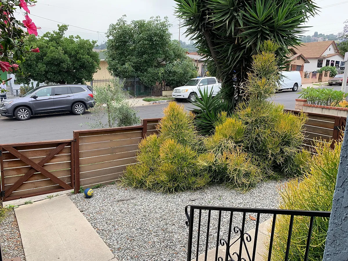 Front yard - 2676 Merced St