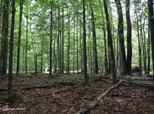 Paxinos Dr, Pocono Lake, PA 18347