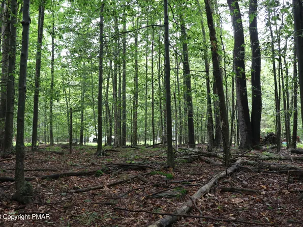 Paxinos Dr, Pocono Lake, PA 18347