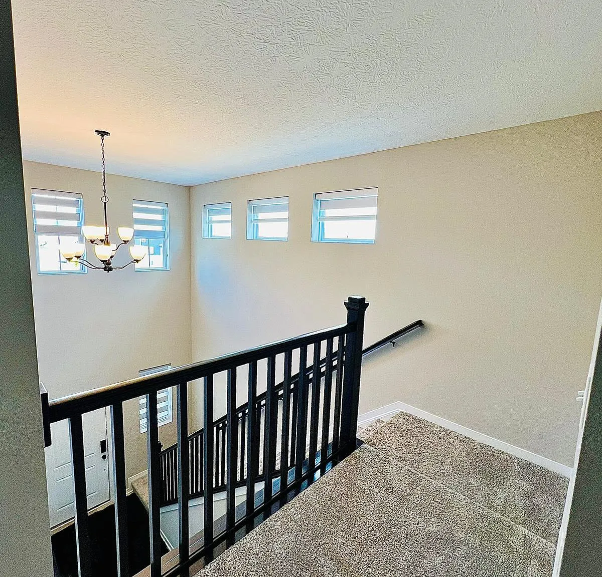 7233 Celebration Dr — Photo 4