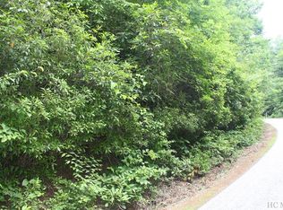 Tbd Upper Whitewater Rd, Sapphire, NC 28774