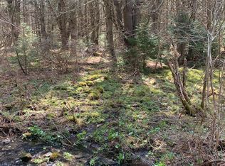 Tedle Brook Rd, Harpersfield, NY 12093