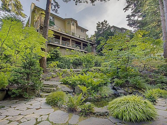 Back garden and pond